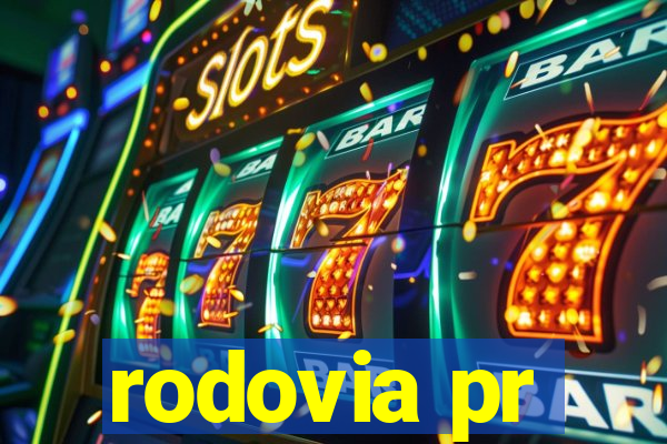 rodovia pr-317 km 155 onde fica